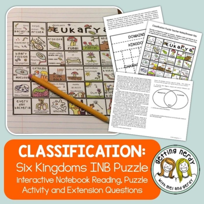 Getting nerdy llc genetics answer key