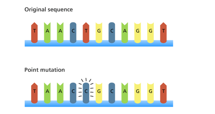 Monster mutation activity answer key