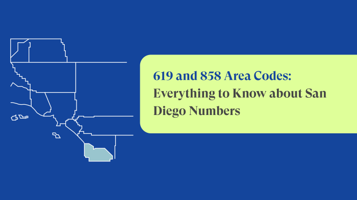 Npi number with area code 858