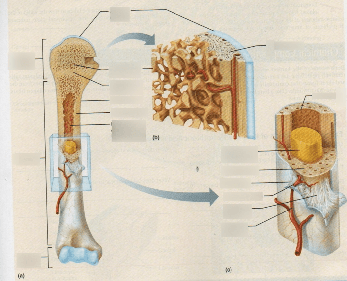 Exercise 8 overview of the skeleton