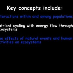 Species interactions worksheet answer key