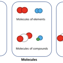 Atoms elements molecules and compounds worksheet