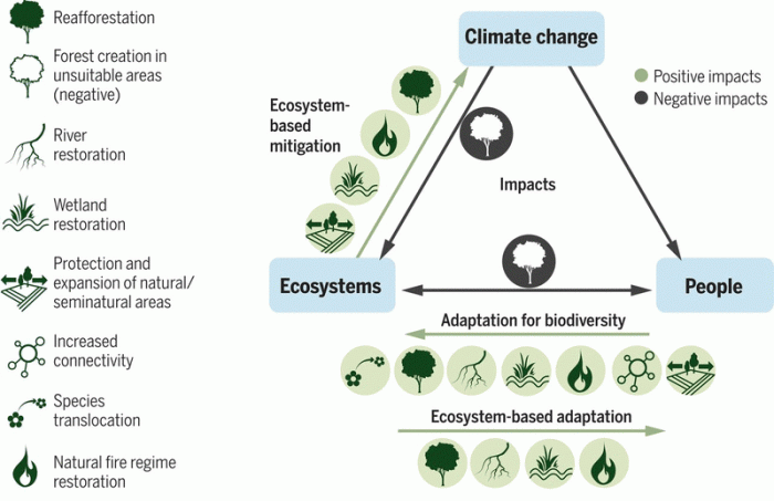 Flying colors science climate change worksheet answers