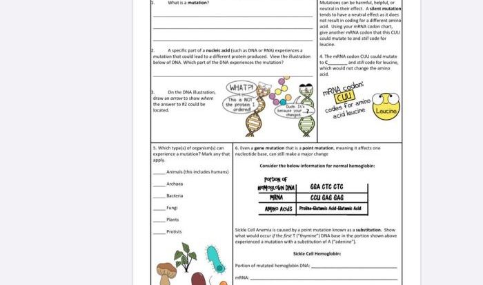 Amoeba sisters video recap mutations updated answer key pdf