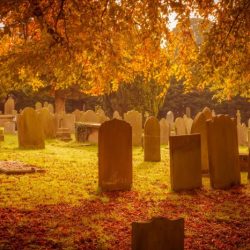 Cemetery autumn stock